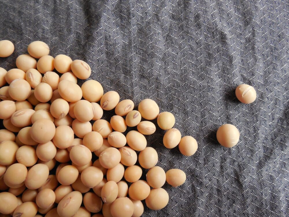 マグネシウムを多く含む大豆